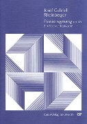Passionsgesang Op. 46 : For Mixed Choir and Organ / edited by Han Theill.