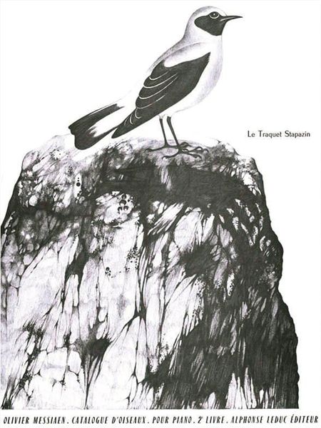 Catalogue Des Oiseaux, Book 2 : 4. le Traquet Stapazin.