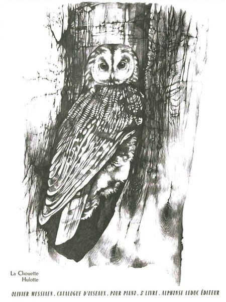Catalogue Des Oiseaux, Book 3 : 3. Chouette Hulotte. 6. Alouette Lulu.