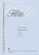 Trio, Op. 34 : For Three Flutes / Edited By Thomas Richter.