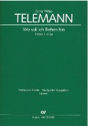 Wo Soll Ich Fliehen Hin, Tvwv 1:1724 : Kantate Zum 22. Sonntag Nach Trinitatis / ed. Klaus Hofmann.