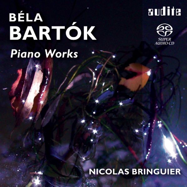 Piano Works / Nicolas Bringuier, Piano.