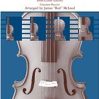 O Mio Babbino Caro (From Gianni Schicchi) : For String Orchestra / arr. by James Red McLeod.
