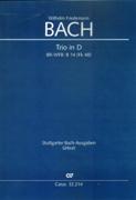 Trio In D, Br-Wfb:B13 (Fk 47) : For Two Flutes and Continuo / edited by Peter Wollny.