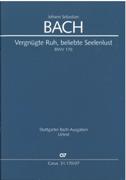 Vergnügte Ruh, Beliebte Seelenlust, BWV 170 / edited by Daniela Wissemann.