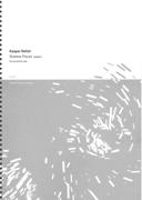 Shadow Pieces : For Accordion Solo (2007).