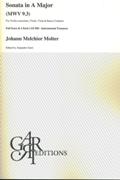 Sonata In A Major : For Violin Concertato, Violin, Viola and Basso Continuo / Ed. Alejandro Garri.