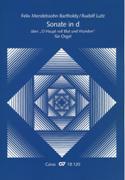Sonate In D, Über O Haupt Voll Blut und Wunden : Für Orgel / Completed by Rudolf Lutz.