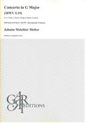 Concerto In G Major : For 2 Flutes, 2 Horns, Strings and Basso Continuo / Ed. Alejandro Garri.