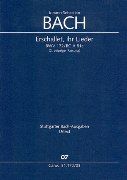 Erschallet, Ihr Lieder, BWV 172.