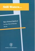 Still Waters : For Bass Flute and Marimba (2012/2013).