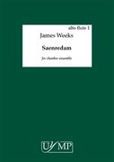 Saerendam : For Chamber Ensemble.