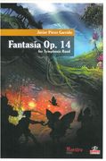 Fantasia, Op. 14 : For Symphonic Band (2005).