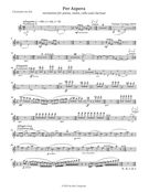 Per Aspera : Variations For Piano, Violin, Cello and Clarinet (2013).