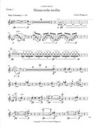 Hexachorda Mollia : For String Quartet (2016).
