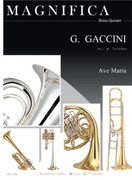 Ave Maria : Pour Quintette De Cuivres.