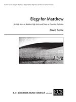 Elegy For Matthew : For High Voice Or Medium Voice and Piano Or Chamber Orchestra (1999).