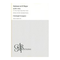 Sinfonia In D Major, GWV 533 : For 2 Horns, Timpani, Strings and Basso Continuo.