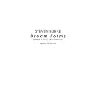 Dream Forms, Episode III - Epic (Aftermath) : For Piano Trio (2016).