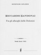 Fra Gli Alberghi Delle Dolomiti : Echi Sinfonici Per Orchestra.