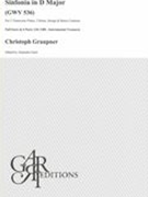 Sinfonia In D Major, GWV 536 : For 2 Transverse Flutes, 2 Horns, Strings and Basso Continuo.