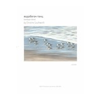 Sandpiper Dance : For Solo Violin (2014).