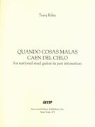 Quando Cosas Malas Caen Del Cielo : For National Steel Guitar In Just Intonation.