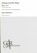 Sinfonia In B Flat Major, Op. 2 No. 5 : For Strings and Basso Continuo / Ed. Alejandro Garri.