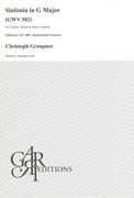 Sinfonia In G Major, GWV 582 : For 2 Horns, Strings and Basso Continuo / Ed. Alejandro Garri.
