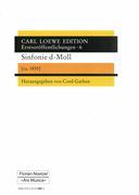 Sinfonie D-Moll (C. 1835) / edited by Cord Garben.
