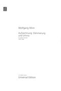 Aufzeichnung - Dämmerung und Umriss : Für Grosses Orchester (1985-86).