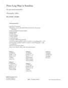 Pines Long Slept In Sunshine : For Percussion Ensemble (5 Players).