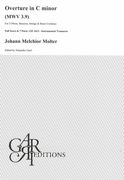 Overture In C Minor, MWV 3.9 : For 2 Oboes, Bassoon, Strings and Basso Continuo.