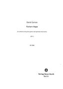 Forlorn Hope : For Eleven-String Alto Guitar and Optional Electronics (2011).
