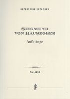Aufklänge : Symphonische Variationen Über Ein Kinderlied.