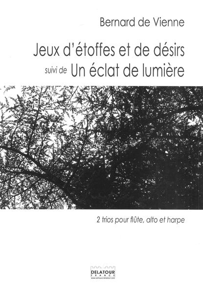 Jeux d'Étoffes et De Désirs; Un Éclat De Lumière : 2 Trios Pour Flute, Alto et Harpe.