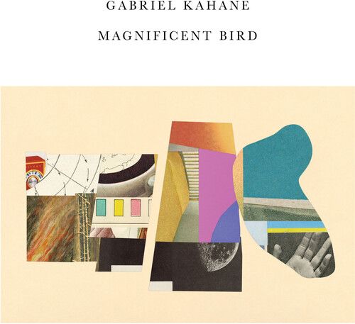Magnificent Bird.