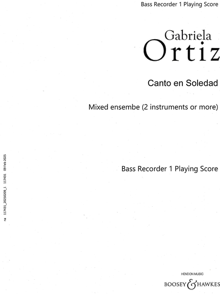 Canto En Soledad : For Three Bass Recorders (2016).