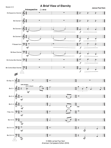 A Brief View of Eternity : For Clarinet Choir (2006).